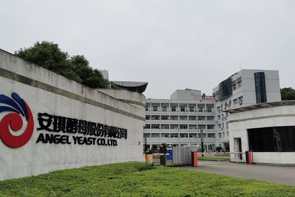 湖北安琪酵母股份有限公司采購天研測(cè)土儀